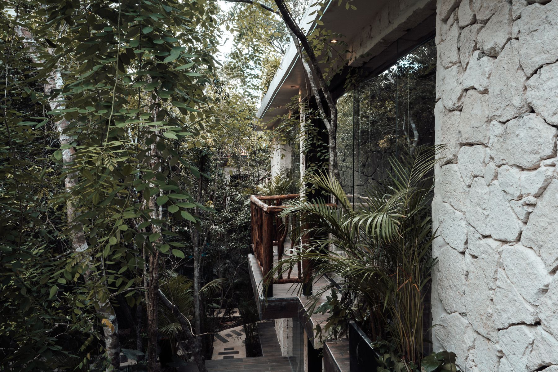 Stone and jungle walkway